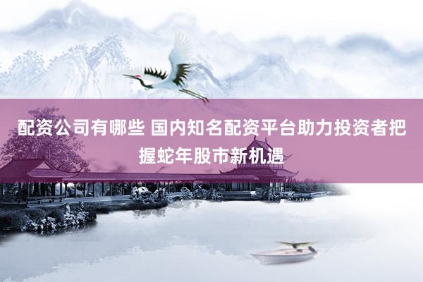 配资公司有哪些 国内知名配资平台助力投资者把握蛇年股市新机遇