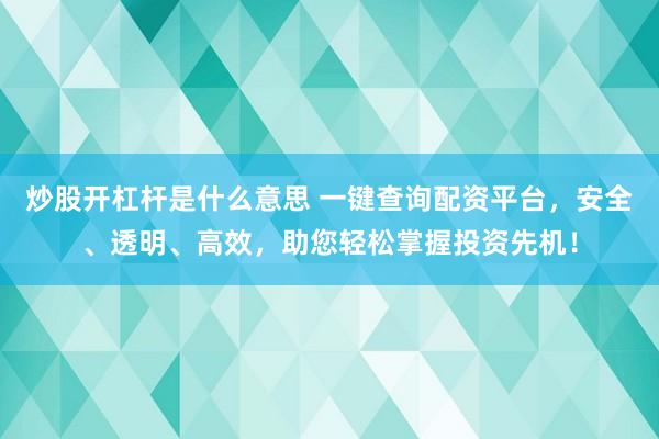 炒股开杠杆是什么意思 一键查询配资平台，安全、透明、高效，助您轻松掌握投资先机！