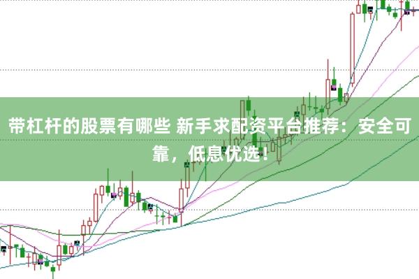 带杠杆的股票有哪些 新手求配资平台推荐：安全可靠，低息优选！