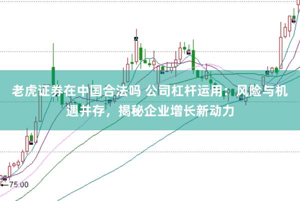 老虎证券在中国合法吗 公司杠杆运用：风险与机遇并存，揭秘企业增长新动力