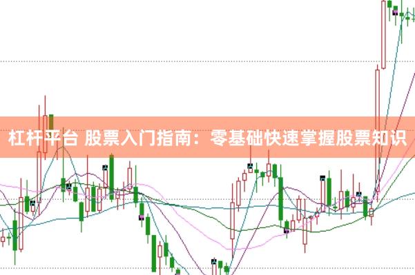 杠杆平台 股票入门指南：零基础快速掌握股票知识
