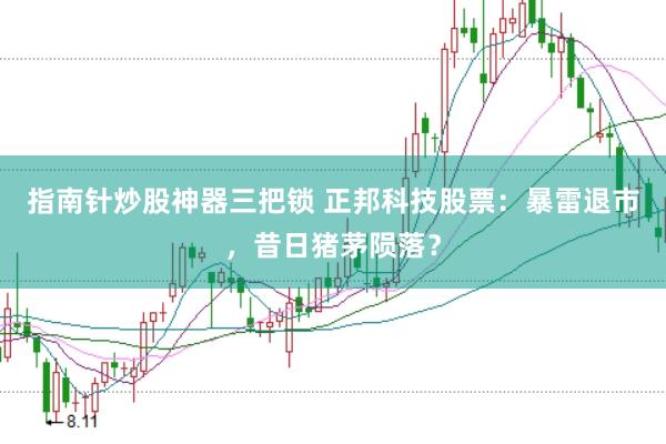 指南针炒股神器三把锁 正邦科技股票：暴雷退市，昔日猪茅陨落？