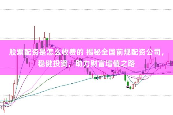 股票配资是怎么收费的 揭秘全国前规配资公司，稳健投资，助力财富增值之路
