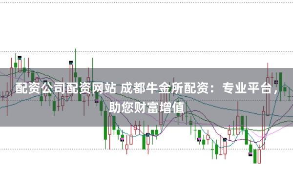 配资公司配资网站 成都牛金所配资：专业平台，助您财富增值