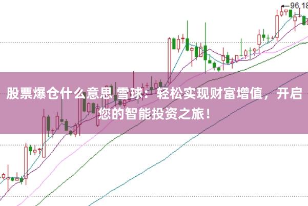 股票爆仓什么意思 雪球：轻松实现财富增值，开启您的智能投资之旅！