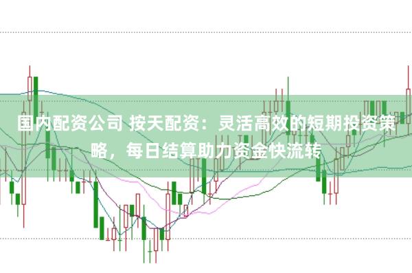 国内配资公司 按天配资：灵活高效的短期投资策略，每日结算助力资金快流转
