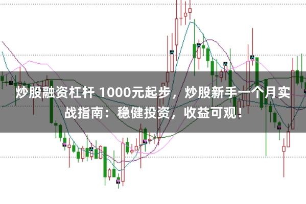 炒股融资杠杆 1000元起步，炒股新手一个月实战指南：稳健投资，收益可观！