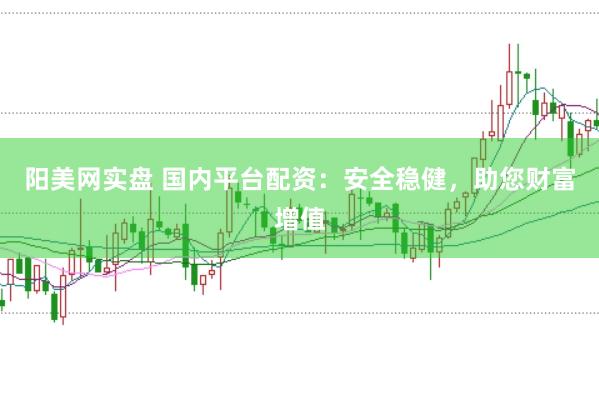阳美网实盘 国内平台配资：安全稳健，助您财富增值