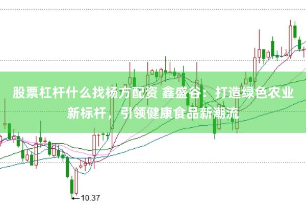 股票杠杆什么找杨方配资 鑫盛谷：打造绿色农业新标杆，引领健康食品新潮流