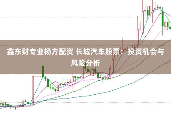 鑫东财专业杨方配资 长城汽车股票：投资机会与风险分析