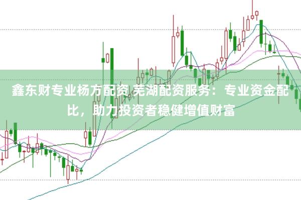 鑫东财专业杨方配资 芜湖配资服务：专业资金配比，助力投资者稳健增值财富