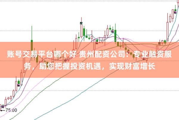 账号交易平台哪个好 贵州配资公司：专业融资服务，助您把握投资机遇，实现财富增长