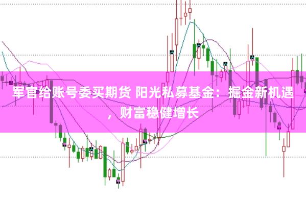 军官给账号委买期货 阳光私募基金:掘金新机遇,财富稳健增长