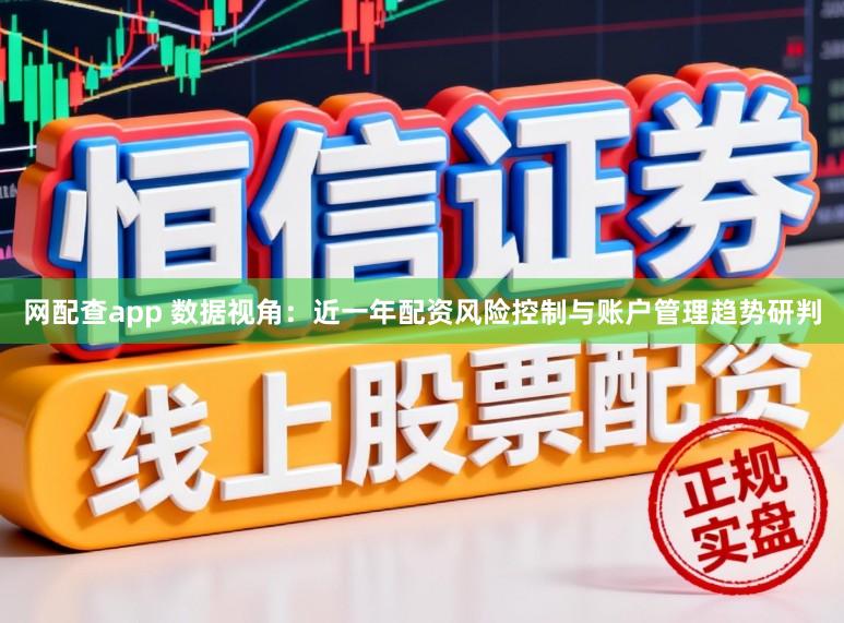 网配查app 数据视角：近一年配资风险控制与账户管理趋势研判