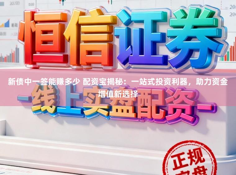新债中一签能赚多少 配资宝揭秘：一站式投资利器，助力资金增值新选择